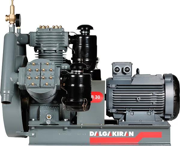 Компрессор низкого давления DALGAKIRAN DKAB 75 с пультом